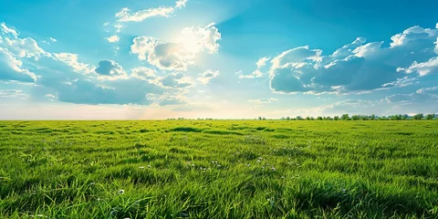 Fotobehang 壮大な芝生と青空の背景素材01 © yukinoshirokuma