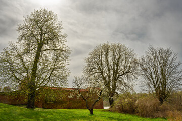 Ruine des Schlosses Küstrin ("Ruiny zamku") mit blühenden Frühlingsbäumen an der Stelle, an der 1730 der preußische Leutnant Katte vor den Augen des späteren Königs Friedrich II hingerichtet wurde