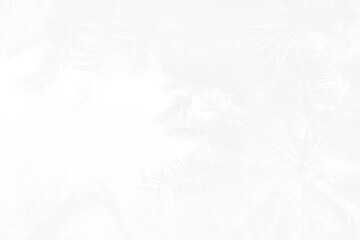 Abstract white Summer concept background, Coconut tree pattern background, white summer