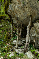 A large rock is supported by many small sticks. Resilience, knowing how to face problems, the group that helps each other. the strength of friendship. The action of many helps to solve problems. 