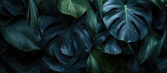 Vintage blueish backdrop adorned with lush tropical foliage 🌿🌴 Conjures nostalgic paradise vibes, perfect for wanderlust dreams #TropicalRetreat - obrazy, fototapety, plakaty