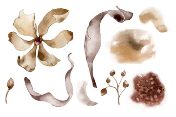 Fototapeta premium Flower and plants in monochrome watercolor set. Abstract flowers and leaves in sepia color isolated on white. Brown background. Suitable for the design of wedding cards, invitations, printed products
