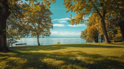 lake in the forest