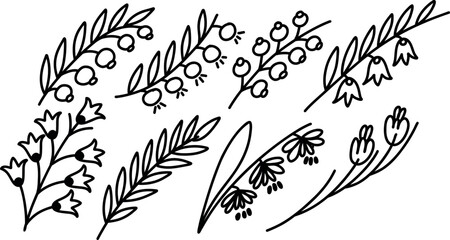 Hand drawn set of floral, plant elements: leaf, branch, flower. Isolated vector illustration for your frame, border, ornament design. Floral elements drawn by brush-pen.