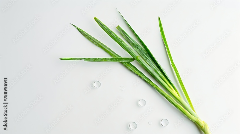 Poster fresh lemongrass leaf has water drop top view isolated on white background flat lay : generative ai
