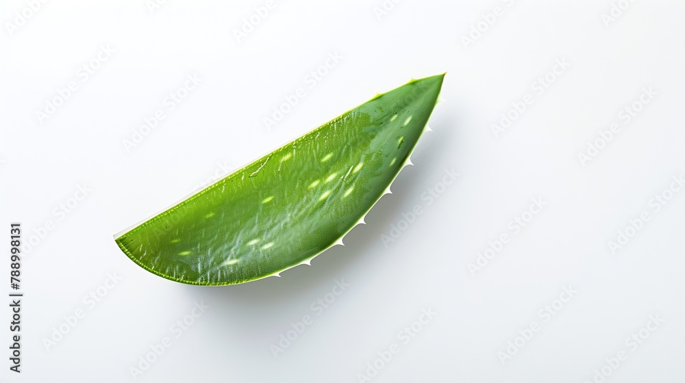 Poster green fresh aloe vera leaf with aloevera slice isolated on white background top view flat lay : gene