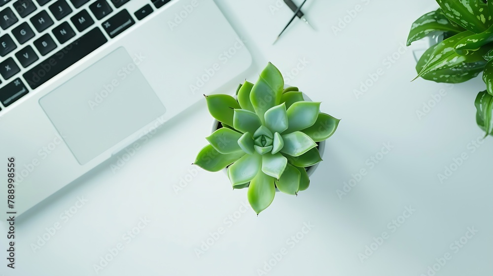 Poster Stylish office table desk Workspace with laptop diary succulent on white background Flat lay top view : Generative AI