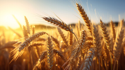 Illustration of the solar term of Ear Grain, conceptual illustration of autumn wheat harvest rural scenery