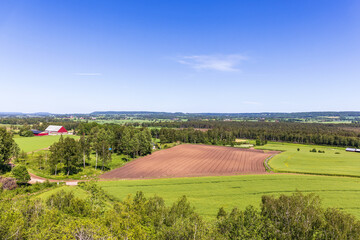 High angle view at a rural landscape in summer