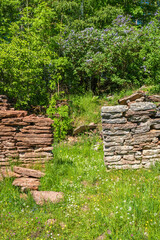 Old house ruin on a flowering meadow