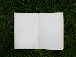 mock up. opened Old book lying on green moss on stone in forest in background. Open magazine with...