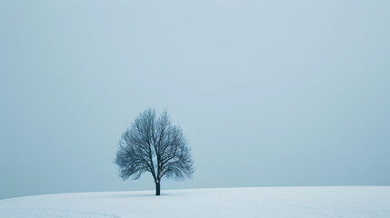 Minimalist photography background