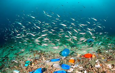 Plastikmüll auf dem Meeresgrund - 789019704