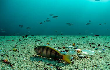 Plastikmüll auf dem Meeresgrund - 789019712