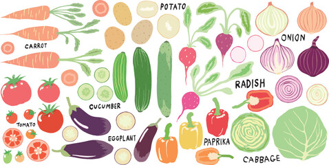 set of vegetable hand drawn vector clip art - obrazy, fototapety, plakaty