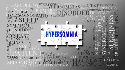 Hypersomnia as a complex subject, related to important topics. Pictured as a puzzle and a word cloud made of most important ideas and phrases related to hypersomnia. ,3d illustration