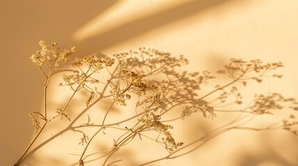 Dry plant branches and sunlight shadows on beige background Minimal floral card Poster : Generative AI