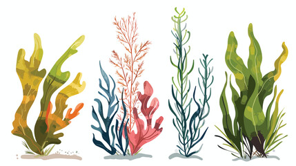 Set of Four colorful hand drawn edible algae vector g