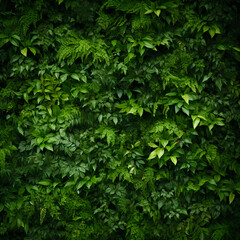 Herb wall, plant wall, natural green wallpaper
