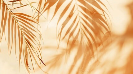Warm orange and beige summer color background with tropical palm shadow Two trend pastel paper and...