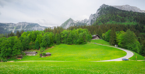 View of meadow near Jenner mount in Berchtesgaden National Park, Alps Germany