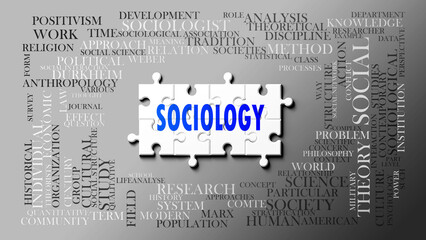 Sociology as a complex subject, related to important topics. Pictured as a puzzle and a word cloud made of most important ideas and phrases related to sociology. ,3d illustration - obrazy, fototapety, plakaty