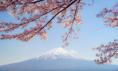Mount Fuji in springtime with cherry tree in full bloom,at Lake kawaguchiko in japan. - 789042328