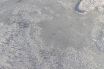 the ice-covered surface of the river in the winter season