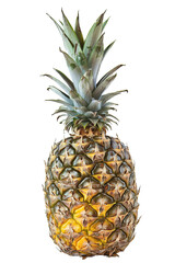 a pineapple, on isolated transparent background