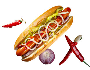 Hot dog with onion, mustard, ketchup and tomatoes on a transparent background