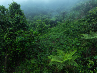 Aerial view of beautiful tropical forest mountain landscape in spring