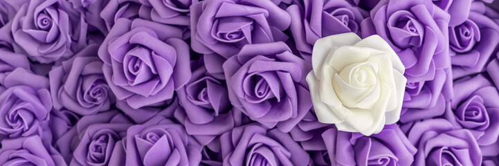 banner of top view of background of purple or lilac flowers and one white flower. artificial flowers. Artificial purple or lilac roses and one white rose from foamiran. soft focus. flat lay