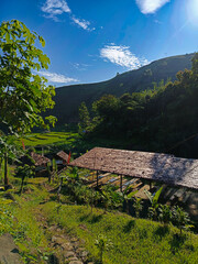 "Scenic hillside rest area with breathtaking rice field views, offering a peaceful retreat amidst nature's splendor