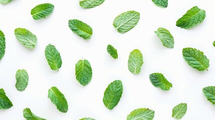 Mint leaves pattern isolated on white background  top view  flat lay : Generative AI