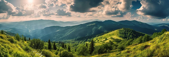 Tuinposter Panoramic view of the mountains. Beautiful summer landscape. © YULIYA