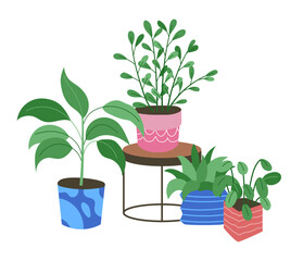 Houseplants composition. Different green exotic plants, succulents and ficuses. Colorful modern pots. Floriculture and gardening concept. Home decor. Vector cartoon flat style isolated illustration