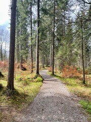 Wandern in Erhwald, Tirol