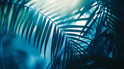 Palm leafs background concept : Generative AI
