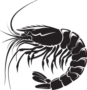 recommend clip art: shrimp silhouette vector black on white background