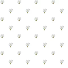 floral seamless pattern in blue shades © Алина Соколова