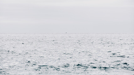 Background with space for text of calm sea. Backgrounds web pages, headers, banner.