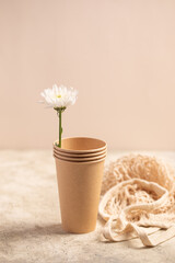 Eco friendly paper cup and green plant. Zero waste, plastic-free items. Stop plastic pollution. 