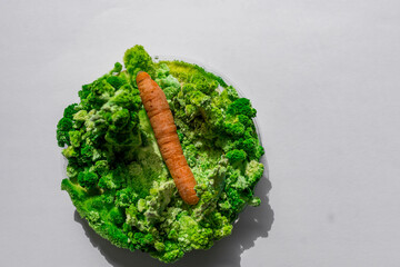 Orange carrots with mold and moss.