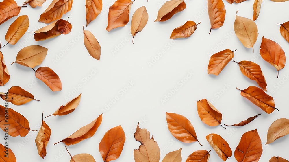 Poster Autumn composition Frame made of autumn dried leaves on white background Flat lay top view copy space : Generative AI