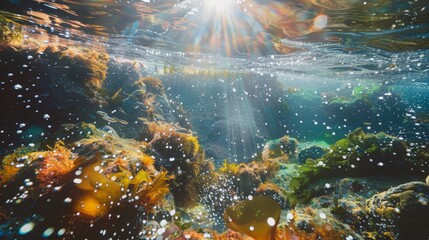 Fototapeta premium A large group of fish swimming in the ocean