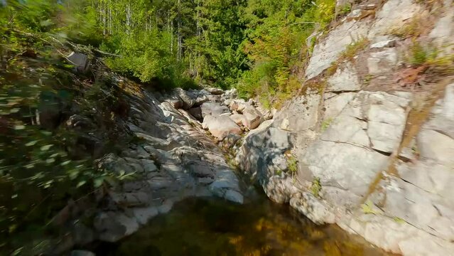 Flight over brook in the forest. Canadian nature filmed by FPV drone