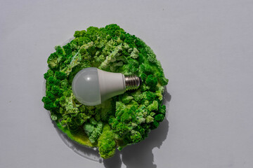 green energy concept on white background