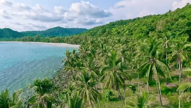 4K Drone Video: Summer sea. There are many coconut trees by the sea. Blue sea, white sand beach. The water is very clear. Looking at it makes you feel refreshed.