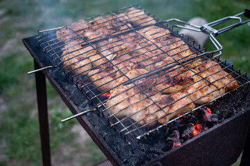 grilled meat on the coals in the garden, closeup