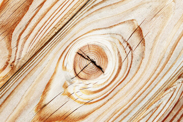 Wood knot background. Grunge wooden texture. Dry plank cracks pattern. Cut tree slice cross...
